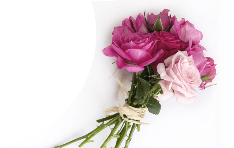 Garden Roses Clipart (751x571), Png Download