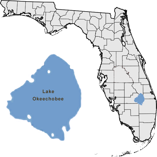 Lake Okeechobee Aquatic Plant Management Interagency - Seaside Florida On A Map Clipart (601x599), Png Download