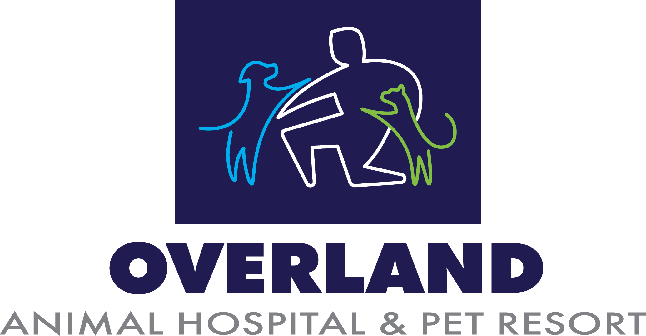 Steele St - Digital Globe Clipart (2068x1075), Png Download