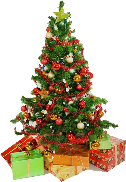 Related Wallpapers - Christmas Tree Png Background Clipart (500x647), Png Download