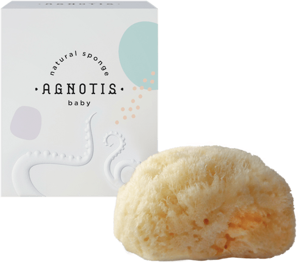 Σφουγγαρι Agnotis Clipart (640x550), Png Download