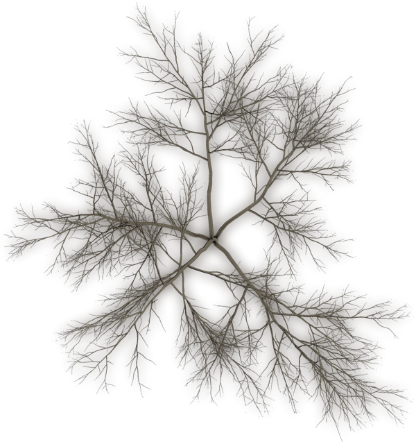 Tree Top Png Black Clipart (600x637), Png Download