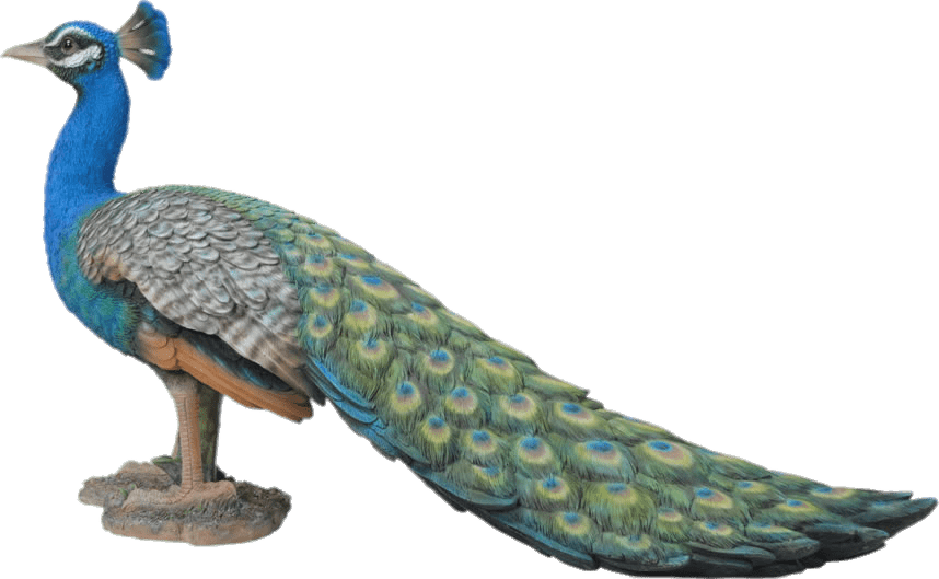 Peacock Garden Ornament - Peacock Resin Clipart (858x529), Png Download