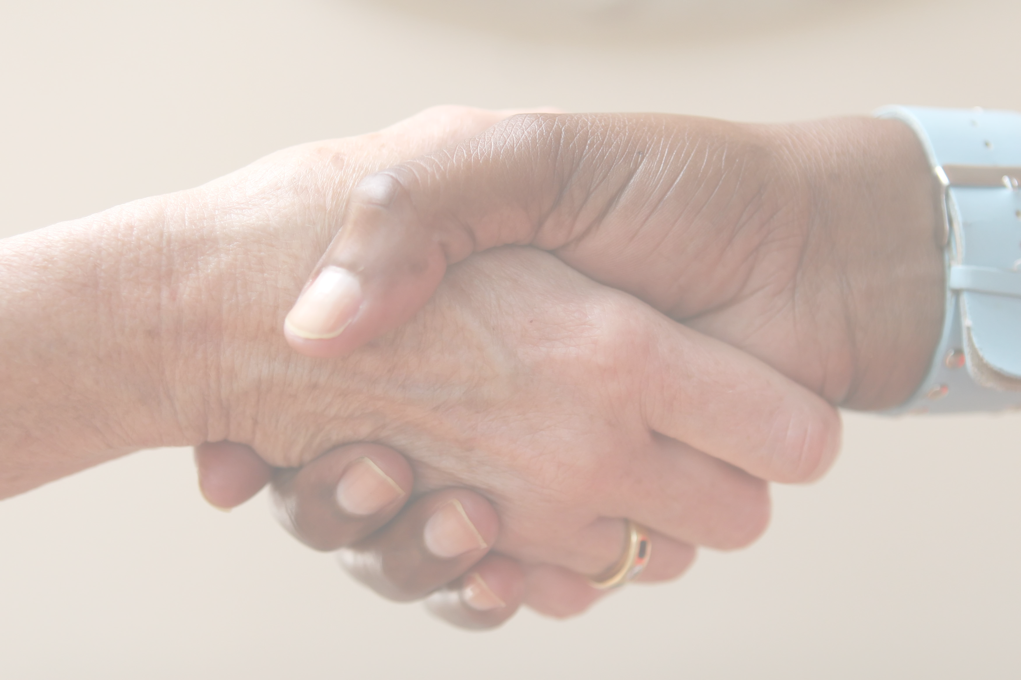 Shaking Hands Clipart (3504x2336), Png Download