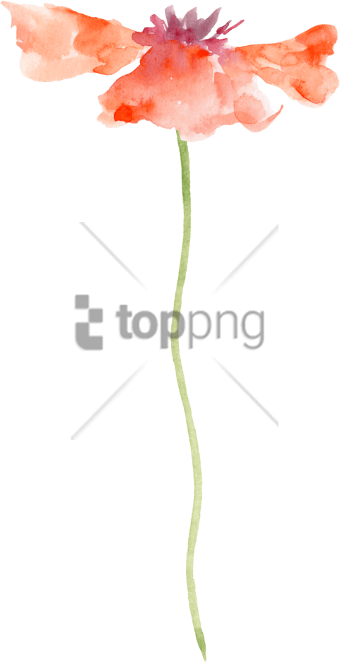 Free Png Transparent Watercolor Painting Flower Png - Flower Water Color Transparent Clipart (481x936), Png Download