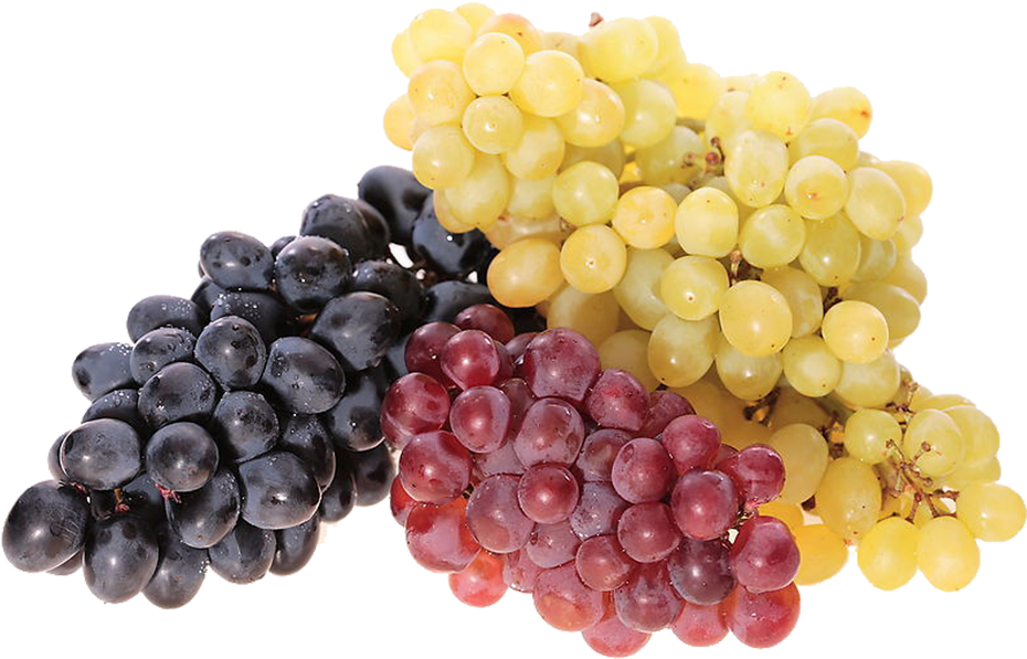 Kisspng Common Grape Vine Juice Wine Berry Red Grape - Полезные Свойства Винограда Clipart (1000x1000), Png Download