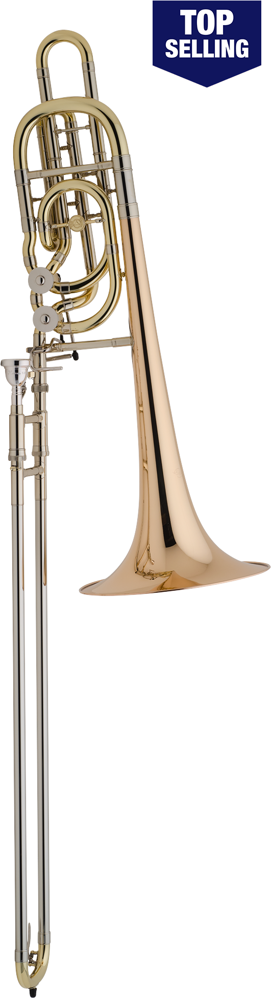600 X 2000 1 - Types Of Trombone Clipart (600x2000), Png Download