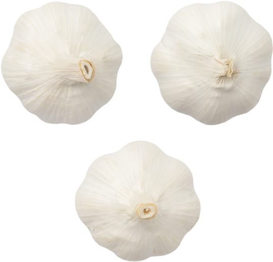 Garlic - Morning Glory Clipart (866x650), Png Download