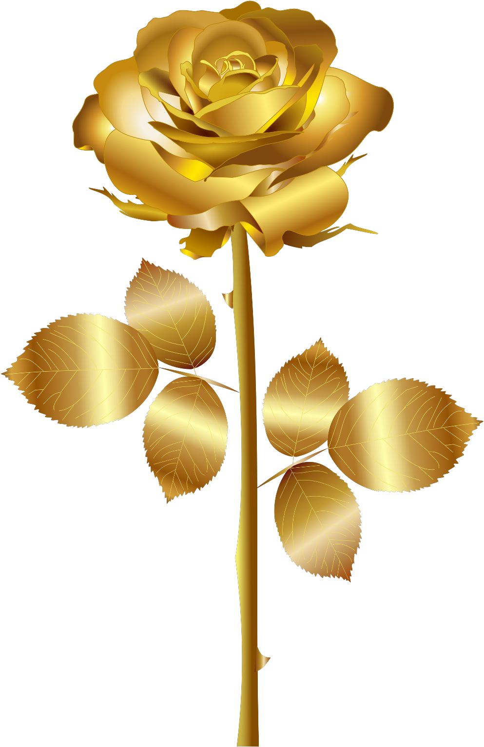 #remixit #freetoedit #gold #golden #divider #ribbon - Gold Rose Png Clipart (1024x1581), Png Download