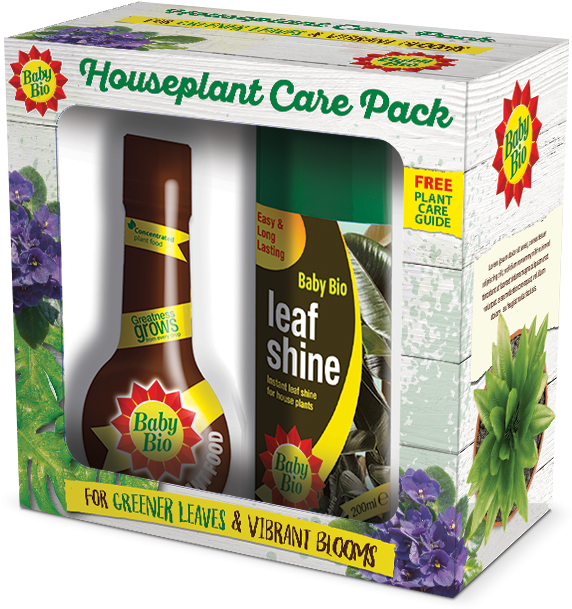 Verbena Clipart (600x756), Png Download