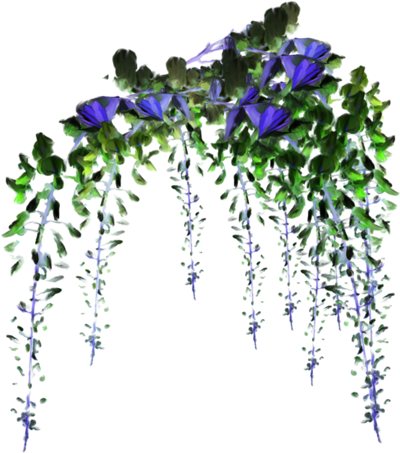 Flower Sticker Clipart (1024x1024), Png Download