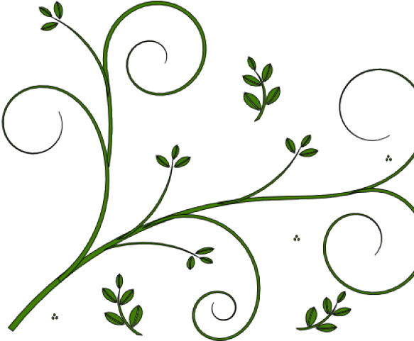 Boho Clipart Vine - Flower Border Design Simple - Png Download (640x480), Png Download