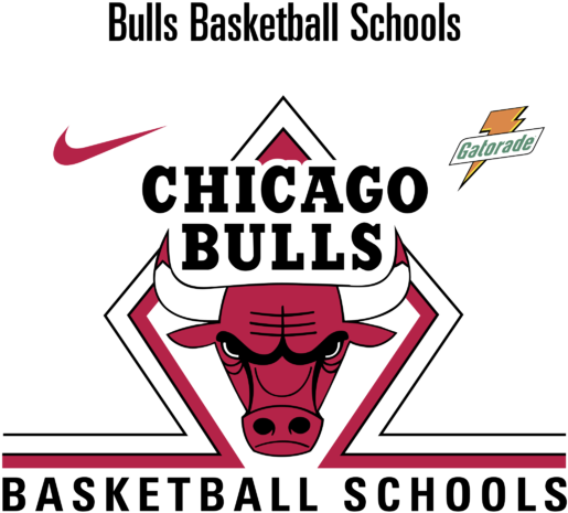 Bull Basketball Schools Logo Png Transparent & Svg - Graphic Design Clipart (800x600), Png Download