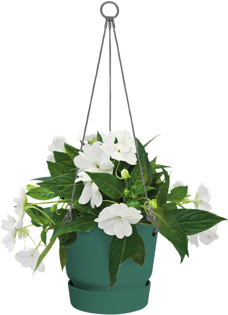 Greenville Hanging Basket - Bouquet Clipart (750x750), Png Download
