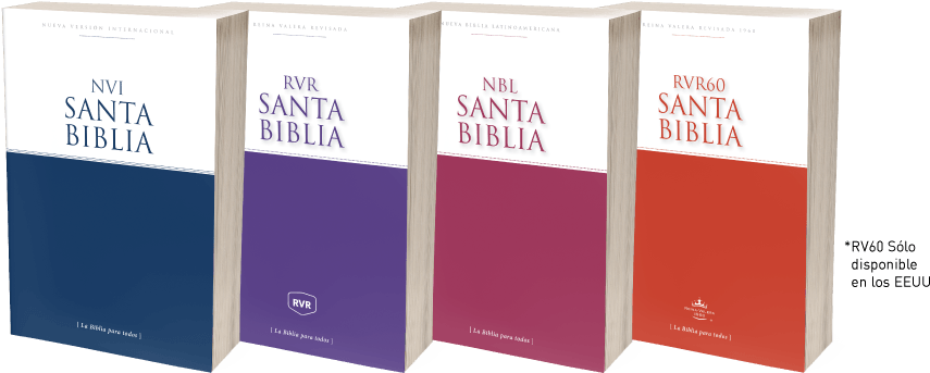 Biblias 28 A La Vez Evangelismo Nvi Rvr Reina Valera - Box Clipart (900x381), Png Download