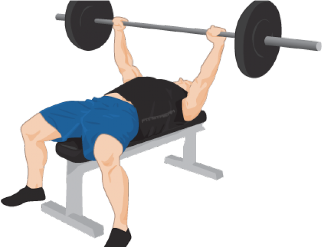 Exercise Bench Clipart Gym - Bench Press Transparent Background - Png Download (640x480), Png Download