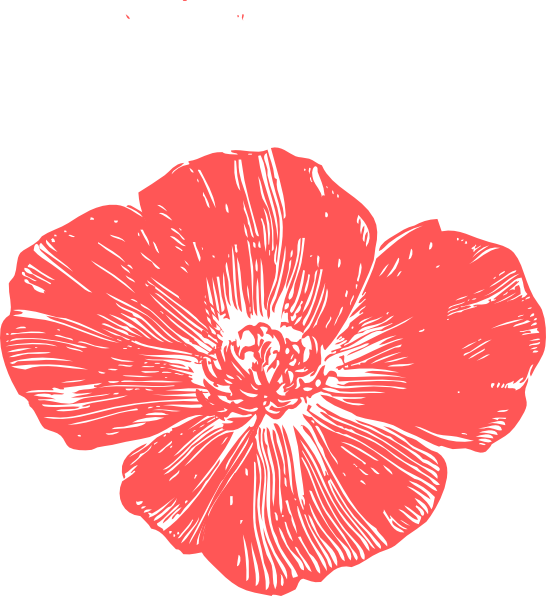 Original Png Clip Art File Peach Poppies Svg Images Transparent Png (546x596), Png Download