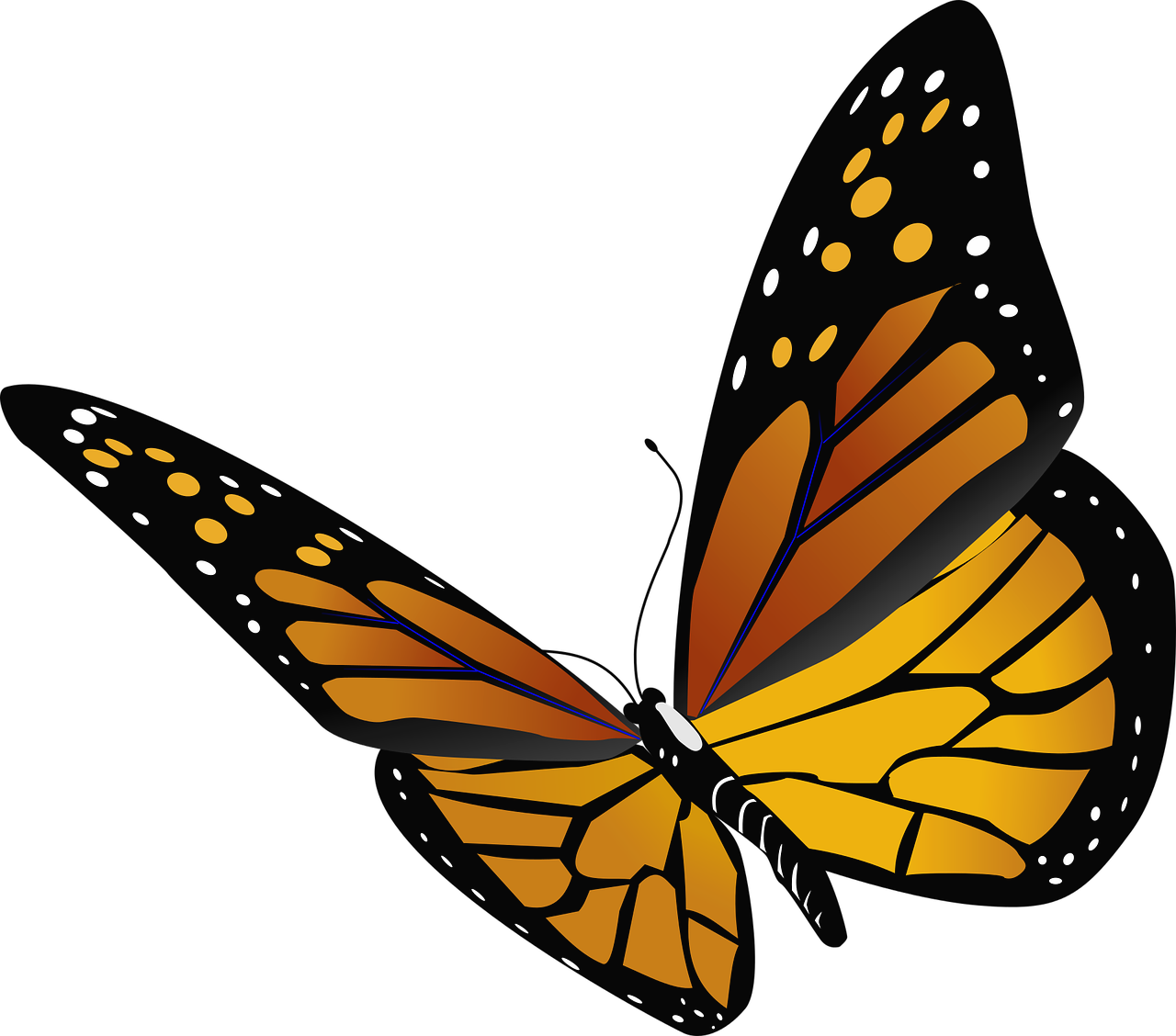 Here S The Next Step For Monarchs - Monarch Butterfly Transparent Background Clipart (1280x1128), Png Download