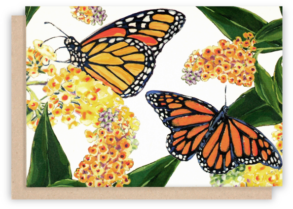 Monarch Butterfly Note Cards With White Background - Monarch Butterfly Clipart (619x552), Png Download