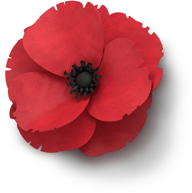 Poppy Flower Memorial Day - Clip Art Remembrance Day Poppy - Png Download (750x665), Png Download