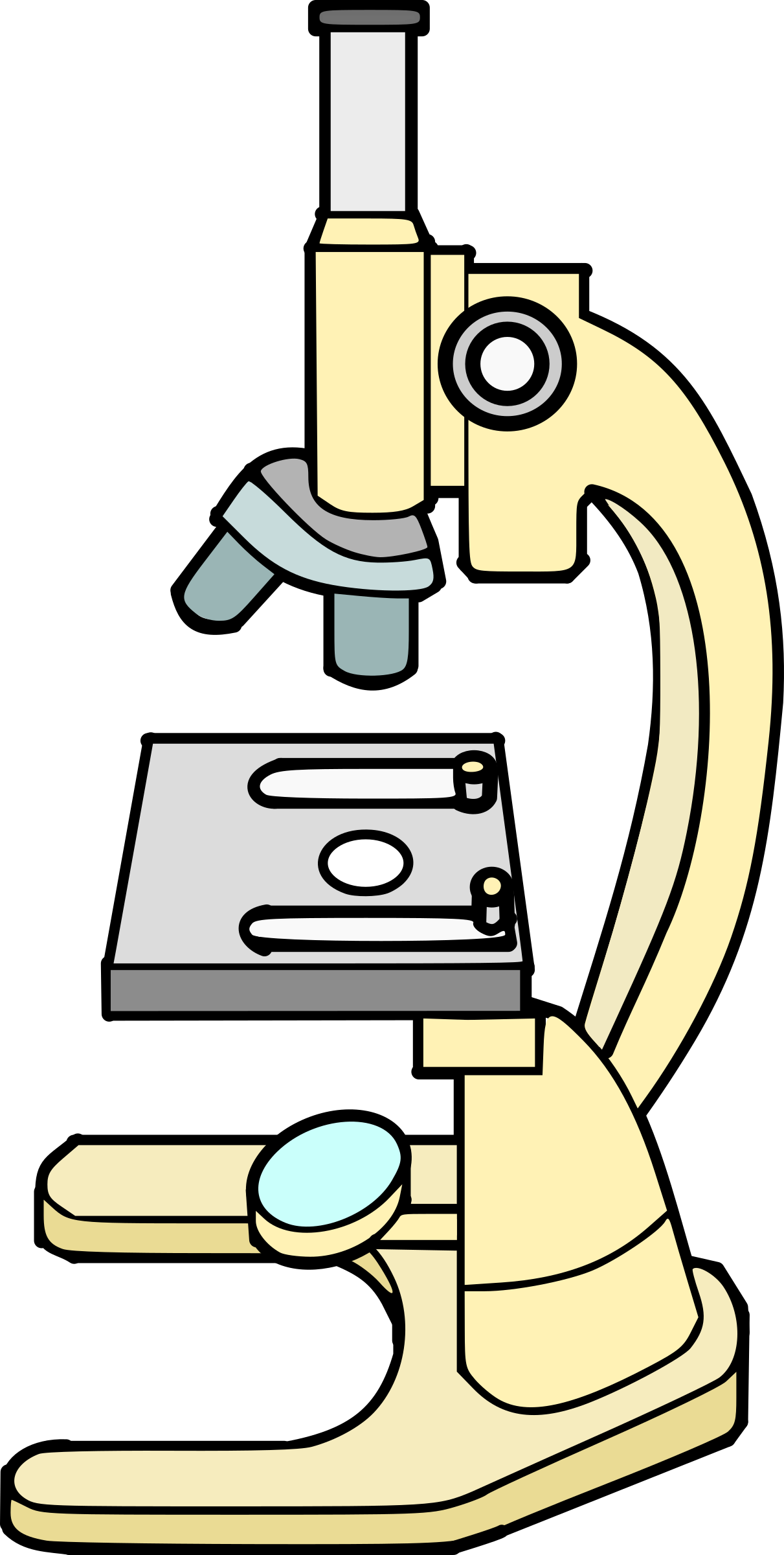 Big Image - Microscope Images Clip Art - Png Download (1211x2400), Png Download