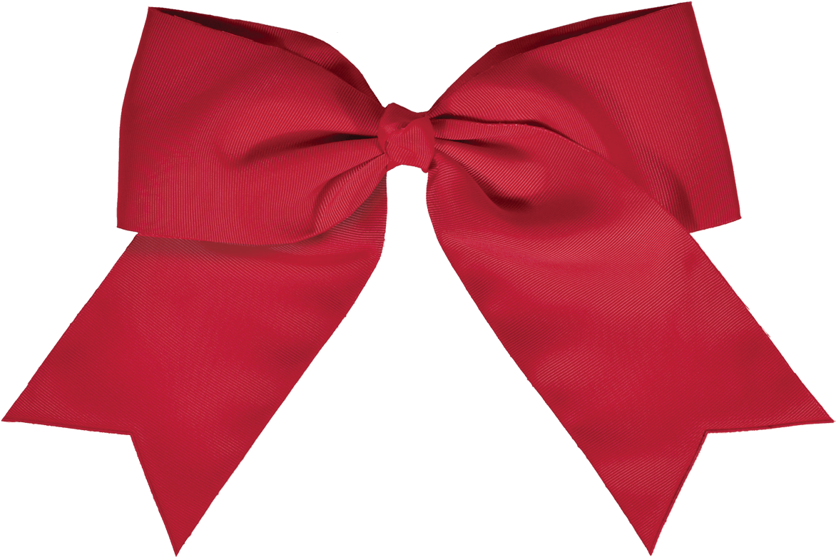Chasse Jumbo - Real Hair Bow Ribbon Clipart (1200x1424), Png Download