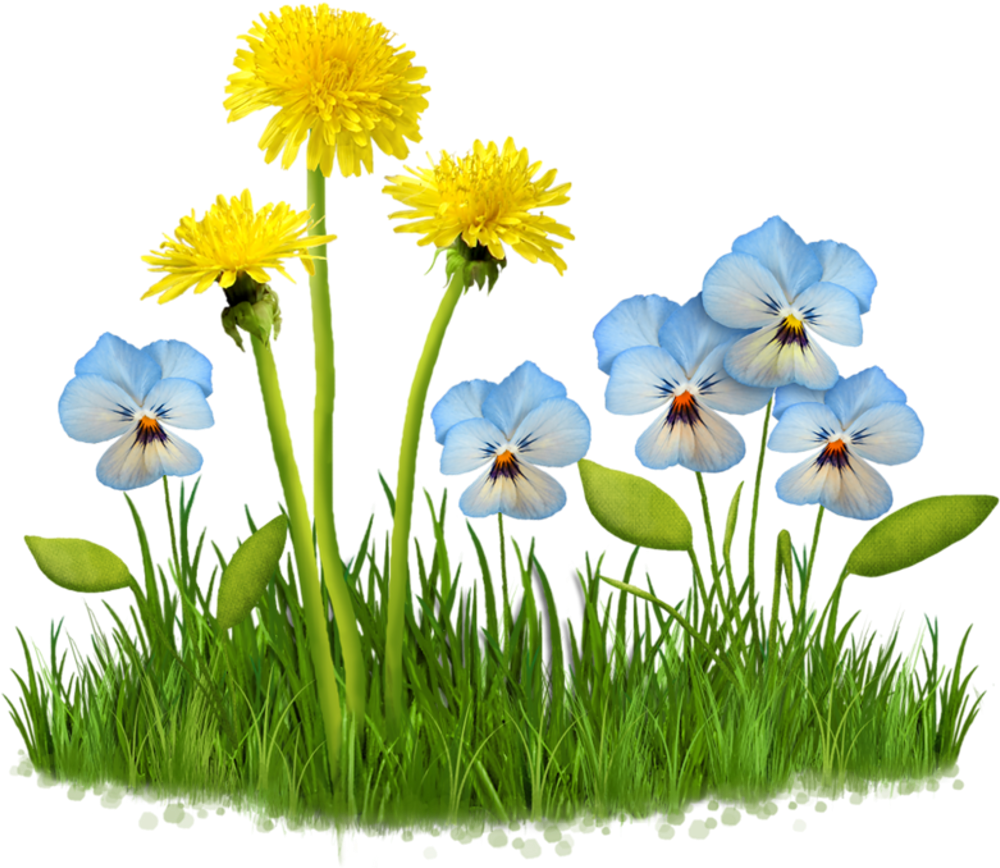 #flower #garden #plant #nature #grass #field #lawn - Fleur Des Champs