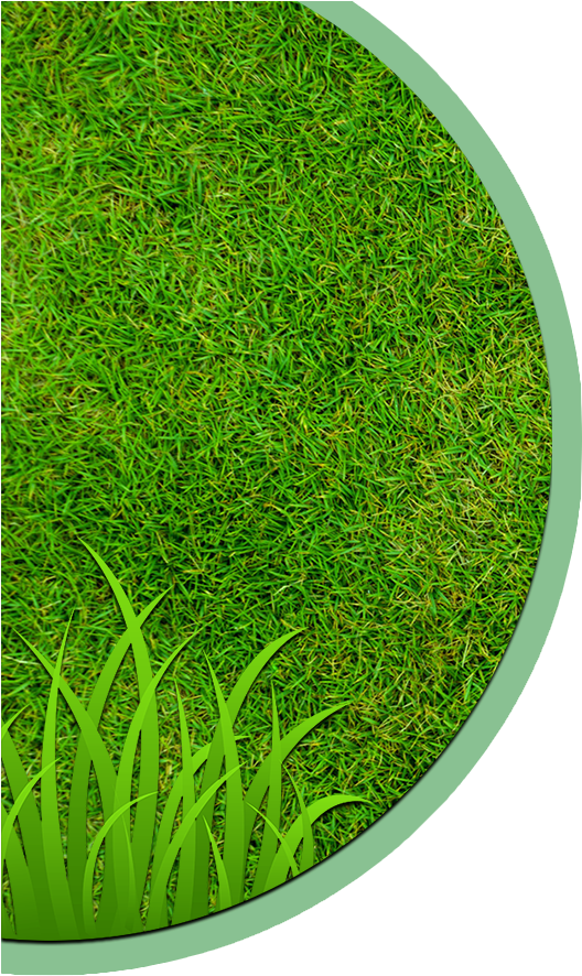 Garden Maintenance & Landscaping - Circle Clipart (550x900), Png Download