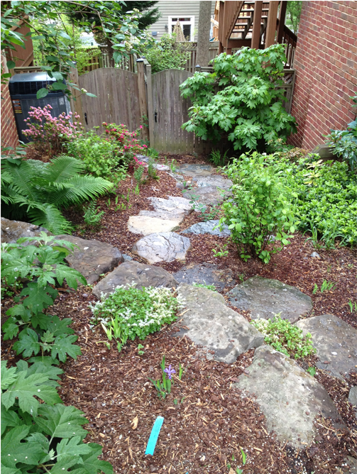 G1 5 - Backyard Clipart (1000x667), Png Download