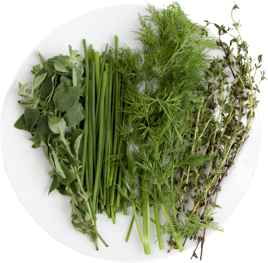 Chef - Grass Clipart (1000x1000), Png Download