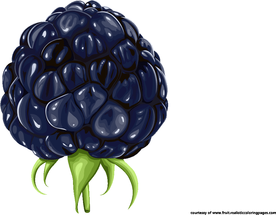Free 7 Awesome Blackberry Fruit Clipart - Black Berry Fruits Png Transparent Png (1280x720), Png Download