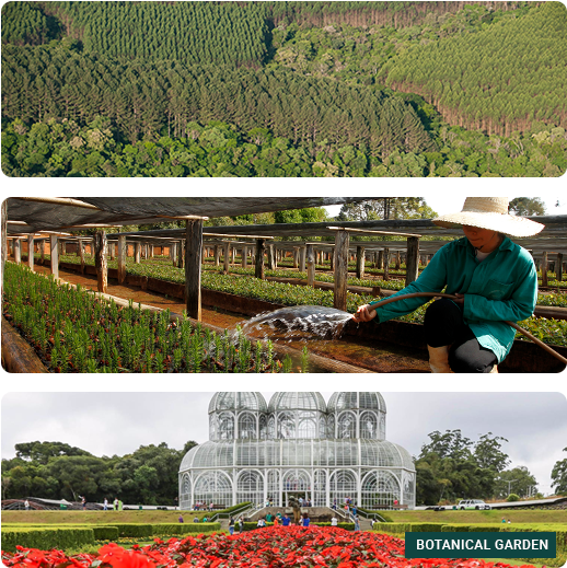 Congress Themes - - Yard Clipart (623x537), Png Download