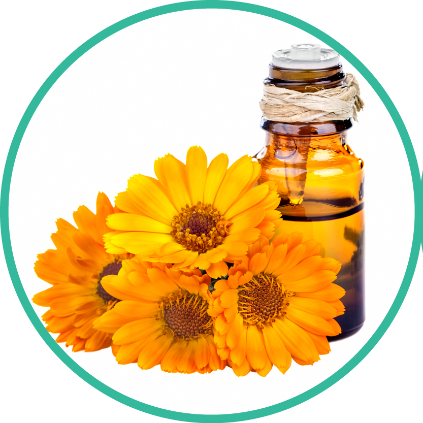 833 X 833 2 - Essential Oil Clipart (833x833), Png Download