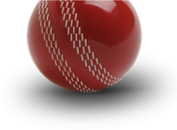 Cricket Ball Png Transparent Images - Cricket Clipart (640x480), Png Download