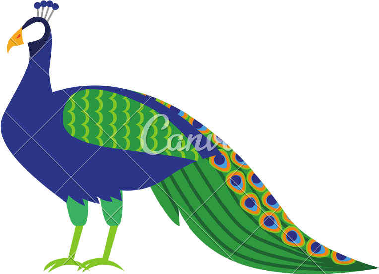 Isolated Icons By Canva - Peafowl Clipart (800x800), Png Download