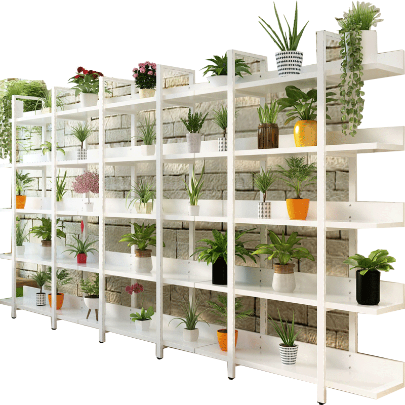 Lightbox Moreview - Shelf Clipart (800x800), Png Download