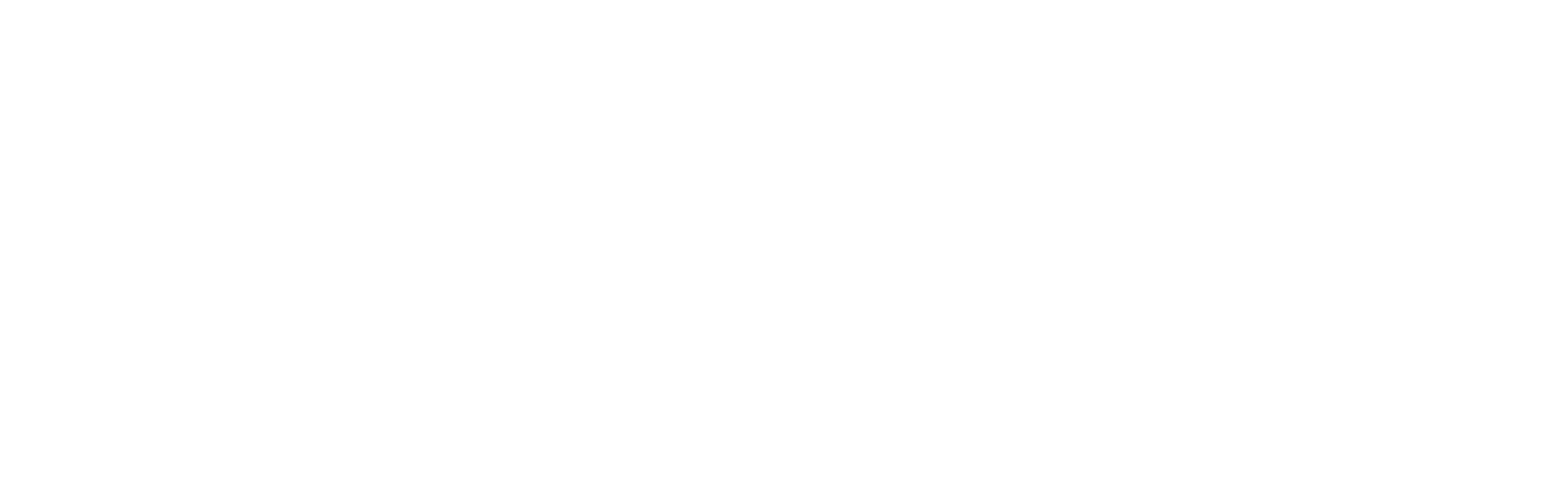 Kopp Germany Logo White - Kopp, Germany Clipart (4134x1299), Png Download