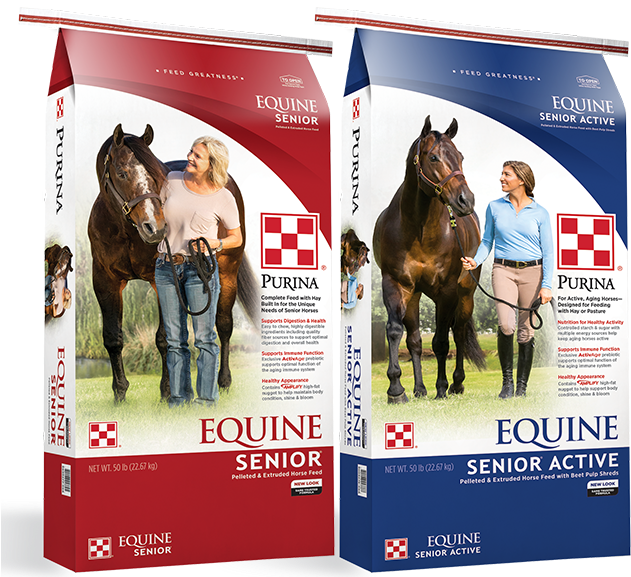 Greatness Never Ages - Purina Equine Senior Clipart (641x576), Png Download