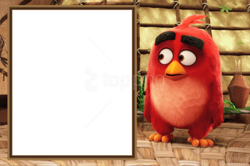 Free Png Best Stock Photos Angry Birds Movie Kids Png - Angry Bird Photo Frame Clipart (850x567), Png Download