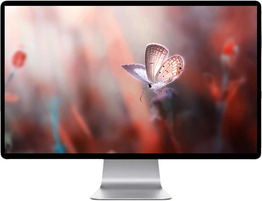 Score 50% - Hd Бабочки Clipart (846x650), Png Download