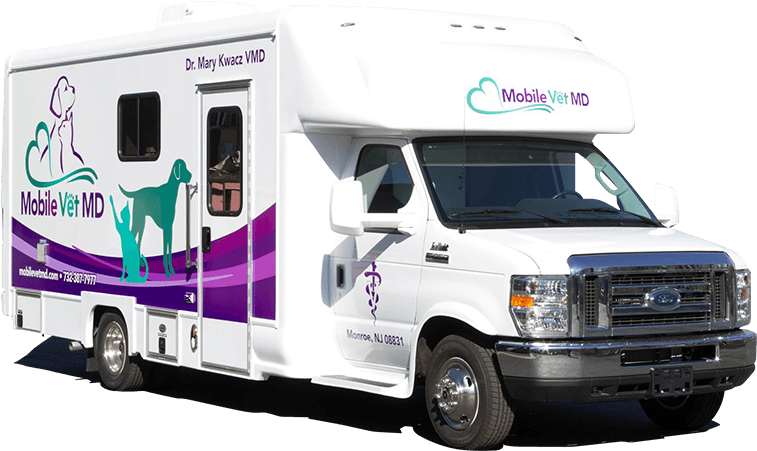 Mobile Veterinary Unit - Rv Clipart (900x600), Png Download