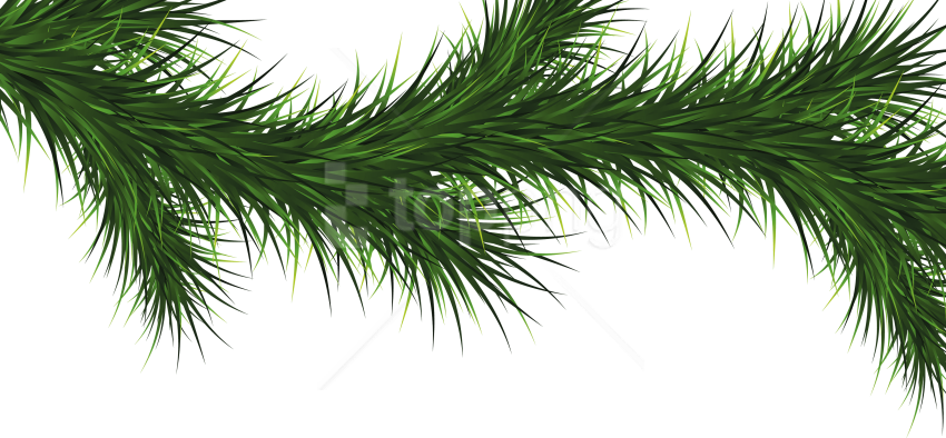 Free Png Fir Tree Png Images Transparent - Transparent Christmas Tree Branch Clipart (850x394), Png Download