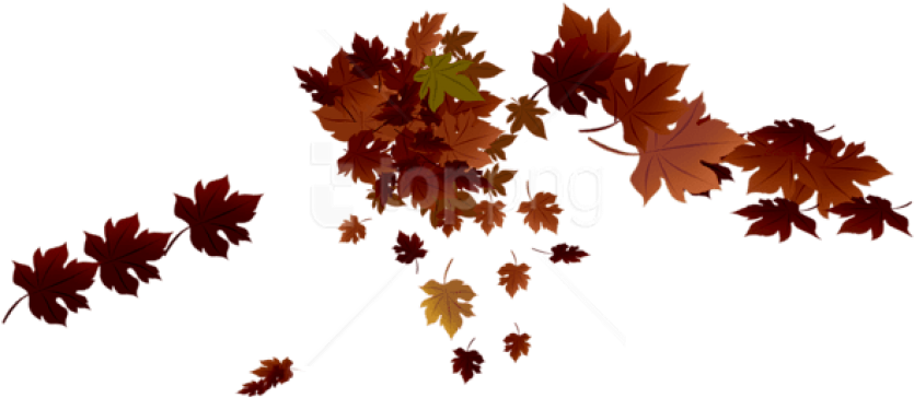 Free Png Transparent Red Fall Leaves Png Images Transparent - Red Fall Leaves Png Clipart (850x383), Png Download