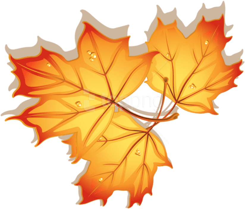 Free Png Download Autumn Leaves Clipart Png Photo Png - Autumn Leaves Dibujo Transparent Png (850x744), Png Download