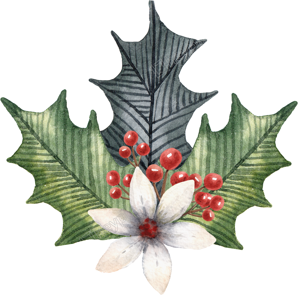 Holly Leaves Png - Illustration Clipart (1024x1013), Png Download