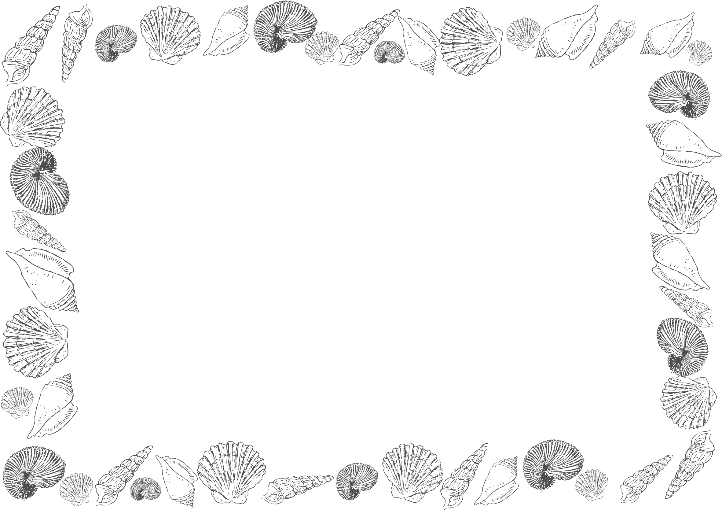 Seashell Frame Black And White Clipart (2363x1668), Png Download
