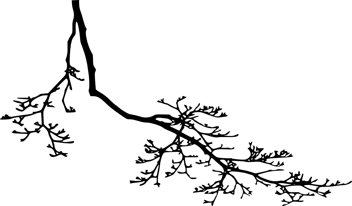 12 Tree Branch Silhouette Png Transparent Vol - Branch Silhouette Clipart (1200x705), Png Download