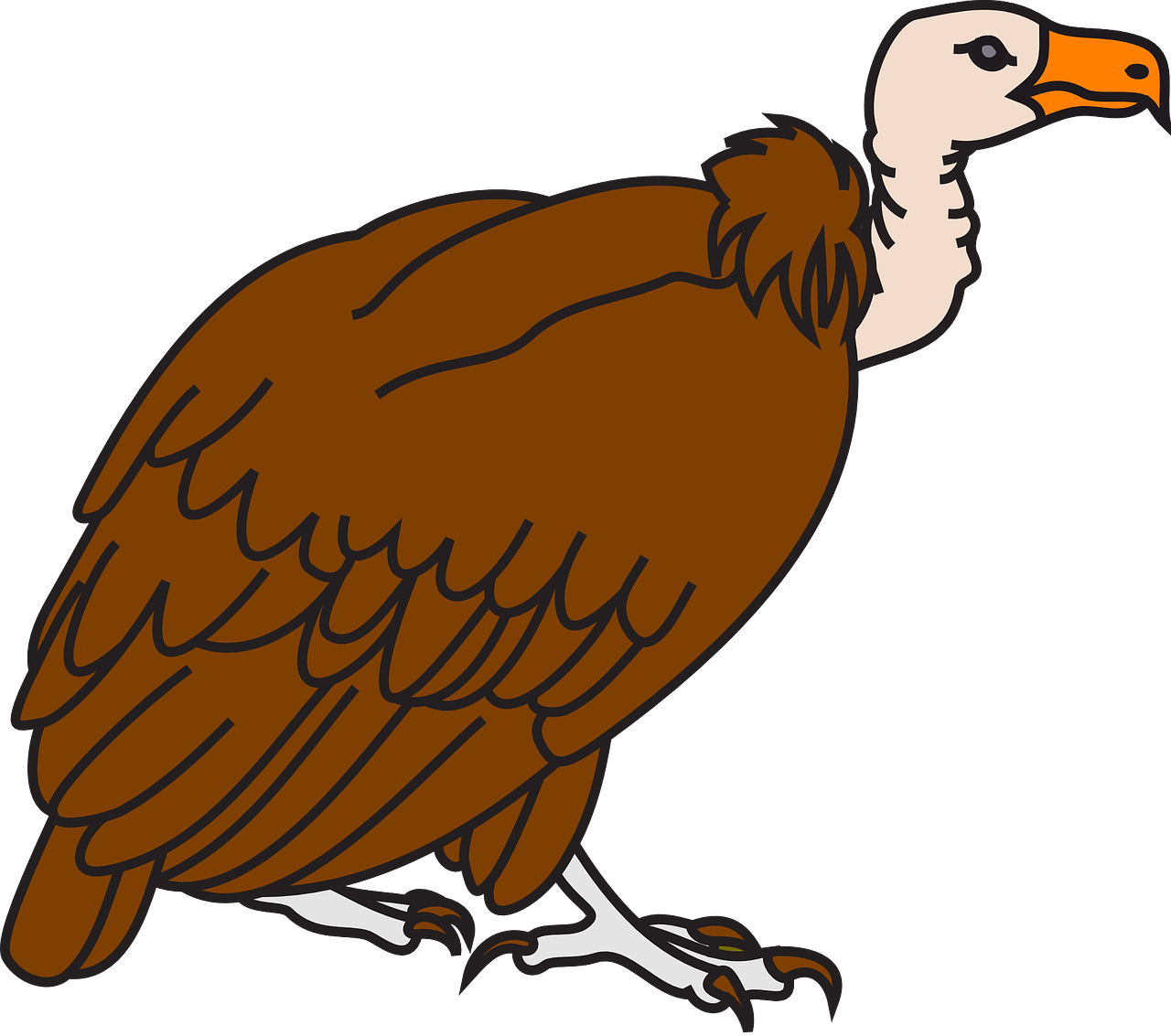 Big Brown Vulture Svg Clip Arts 600 X 531 Px - Png Download (600x531), Png Download