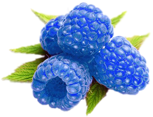 Raspberries Clipart Cute - Blue Raspberry - Png Download (600x600), Png Download