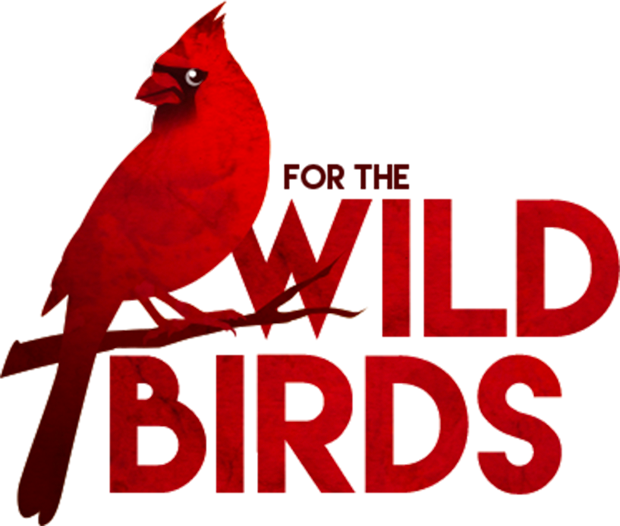 Your Backyard Bird Specialists - Bird Wild Clipart (620x526), Png Download